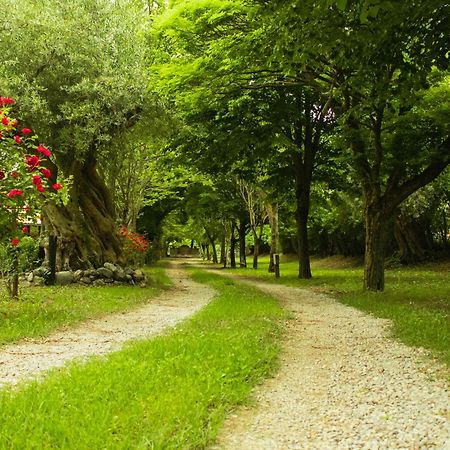 Vila Ciclopark Morano Calabro Exteriér fotografie
