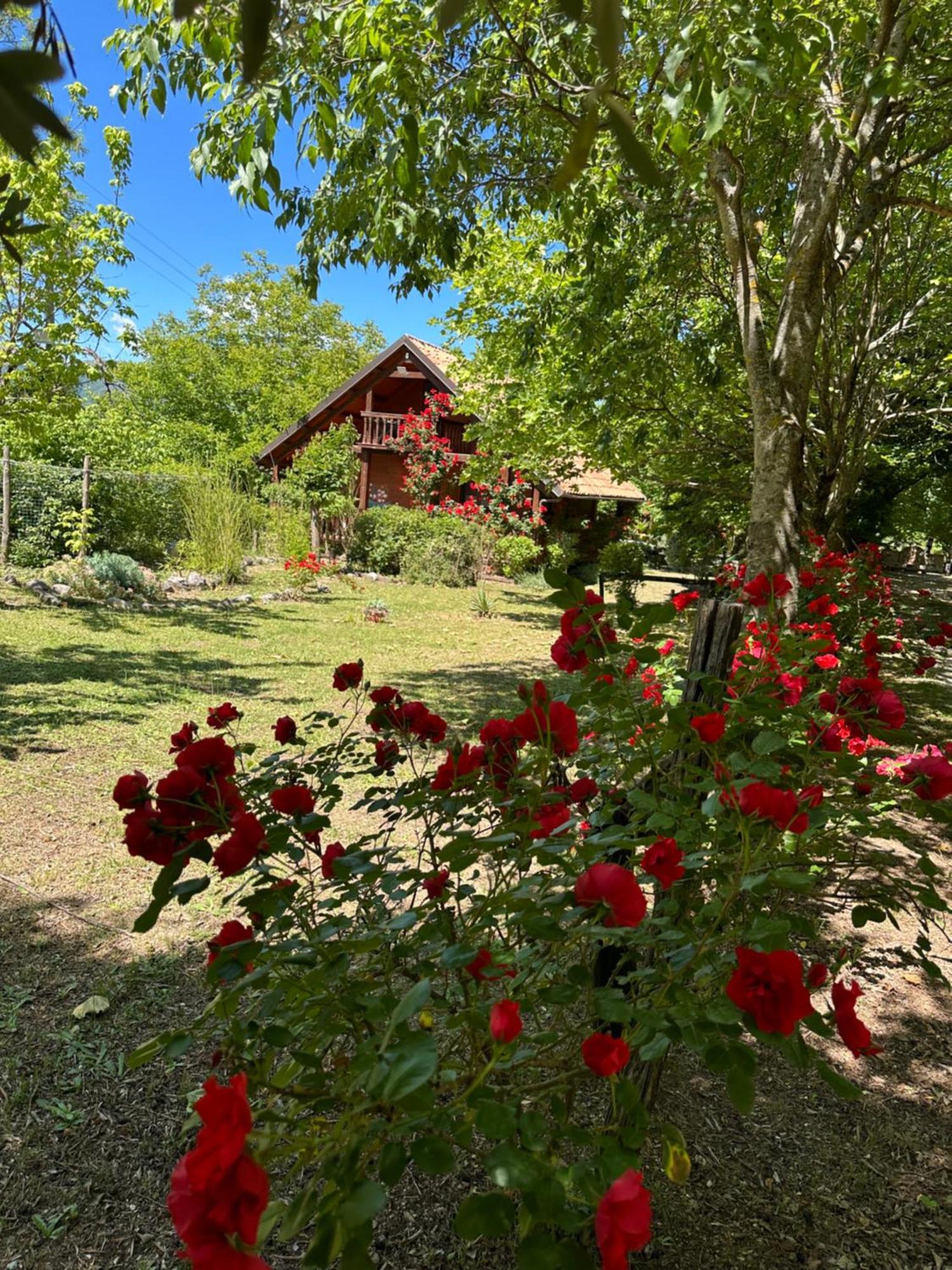 Vila Ciclopark Morano Calabro Exteriér fotografie