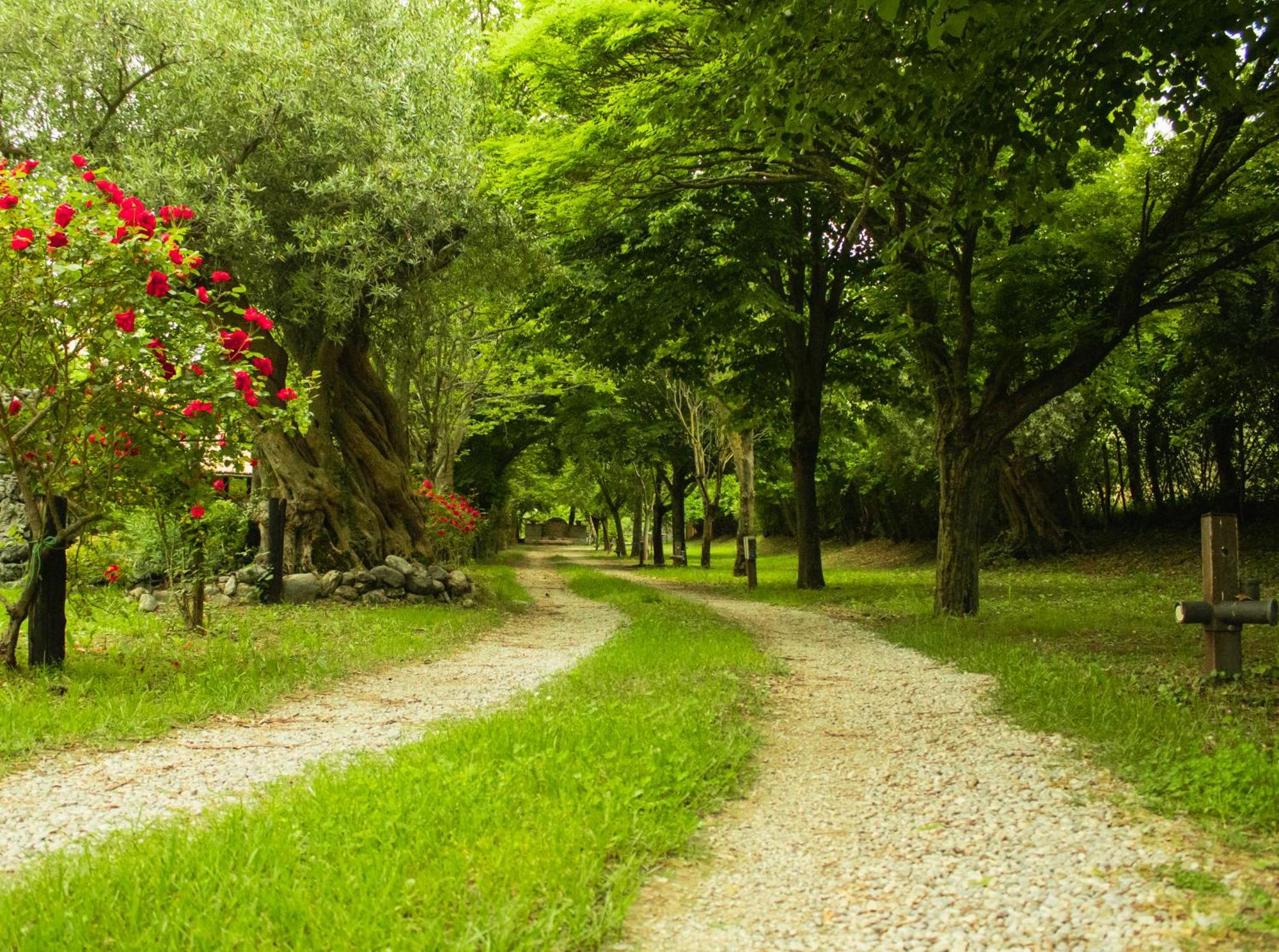 Vila Ciclopark Morano Calabro Exteriér fotografie